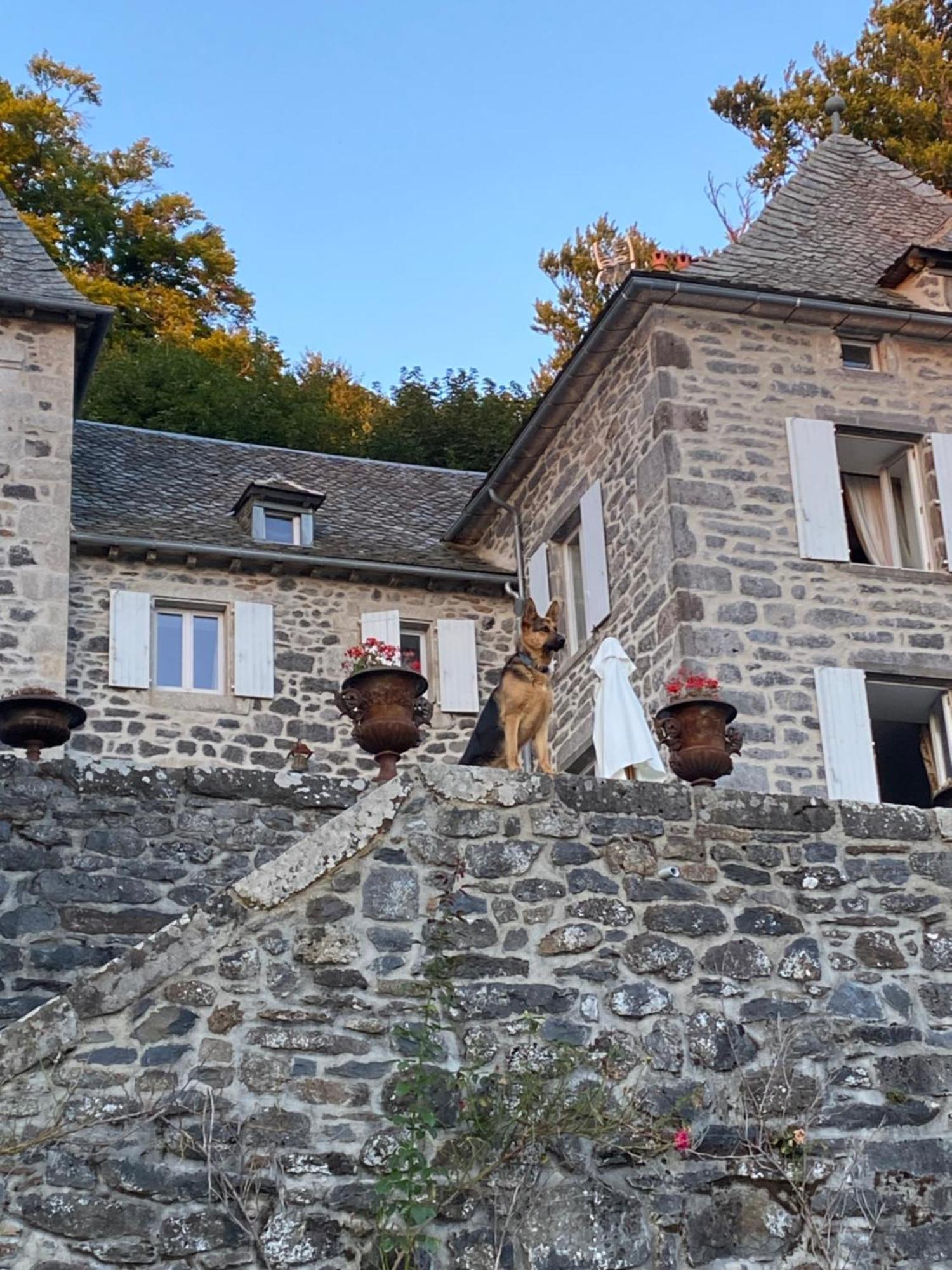 Bed and breakfast Chateau Du Puech