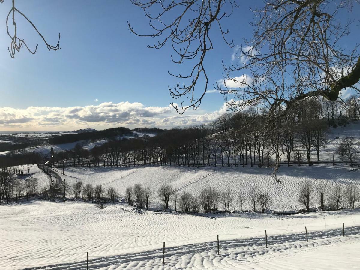 Chateau Du Puech Bed & Breakfast *