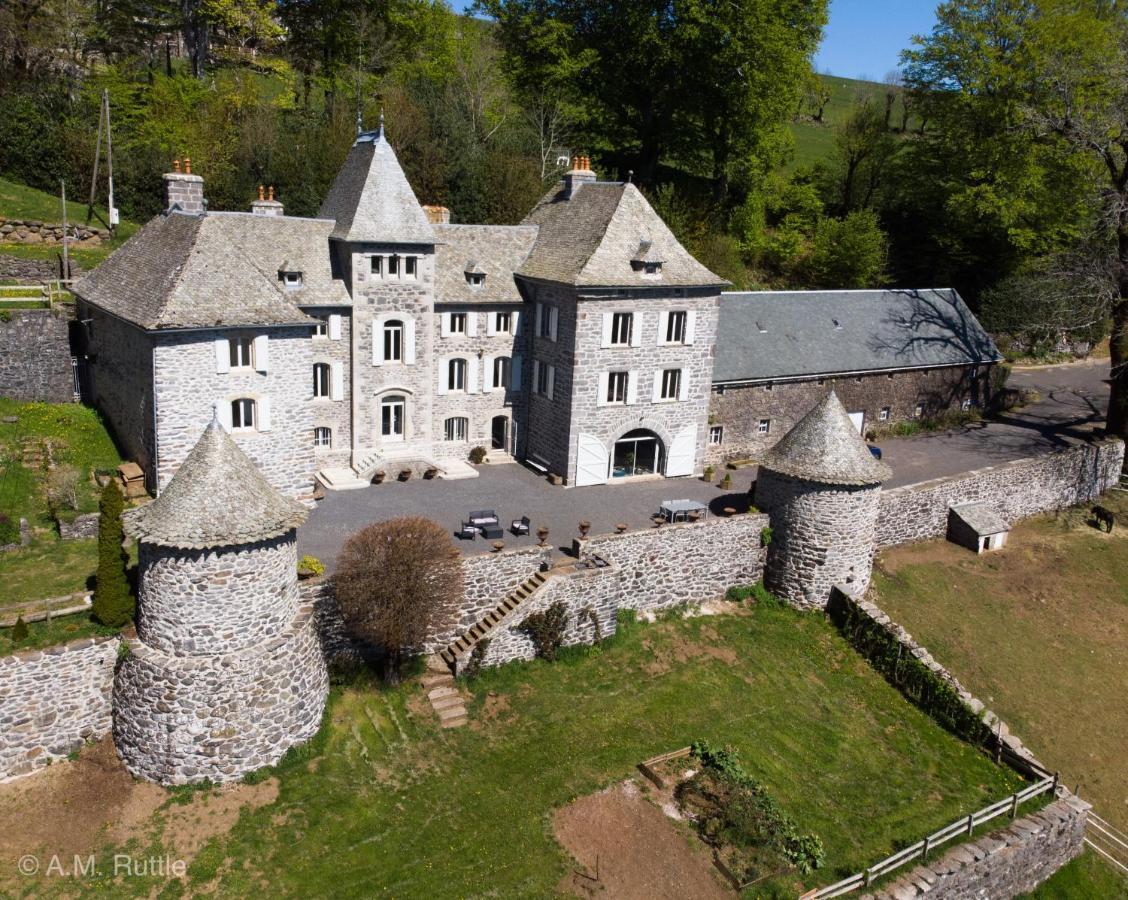Chateau Du Puech Bed and breakfast Curieres